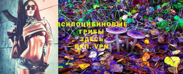 a pvp Саяногорск