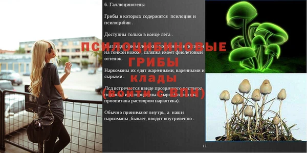 прущие крисы Аркадак